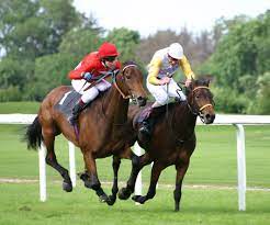 image Tennessee Stud fait son show dans la "boue" de Saint-Cloud