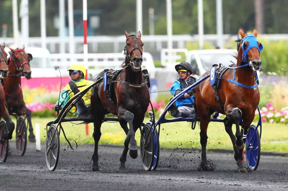 image De Jingle du Pont à Krystal Piya, retour sur les Groupes de dimanche à Vincennes