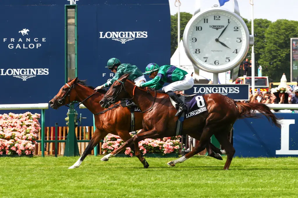 Diamond Necklace répond présente dans le Prix de Diane Longines !