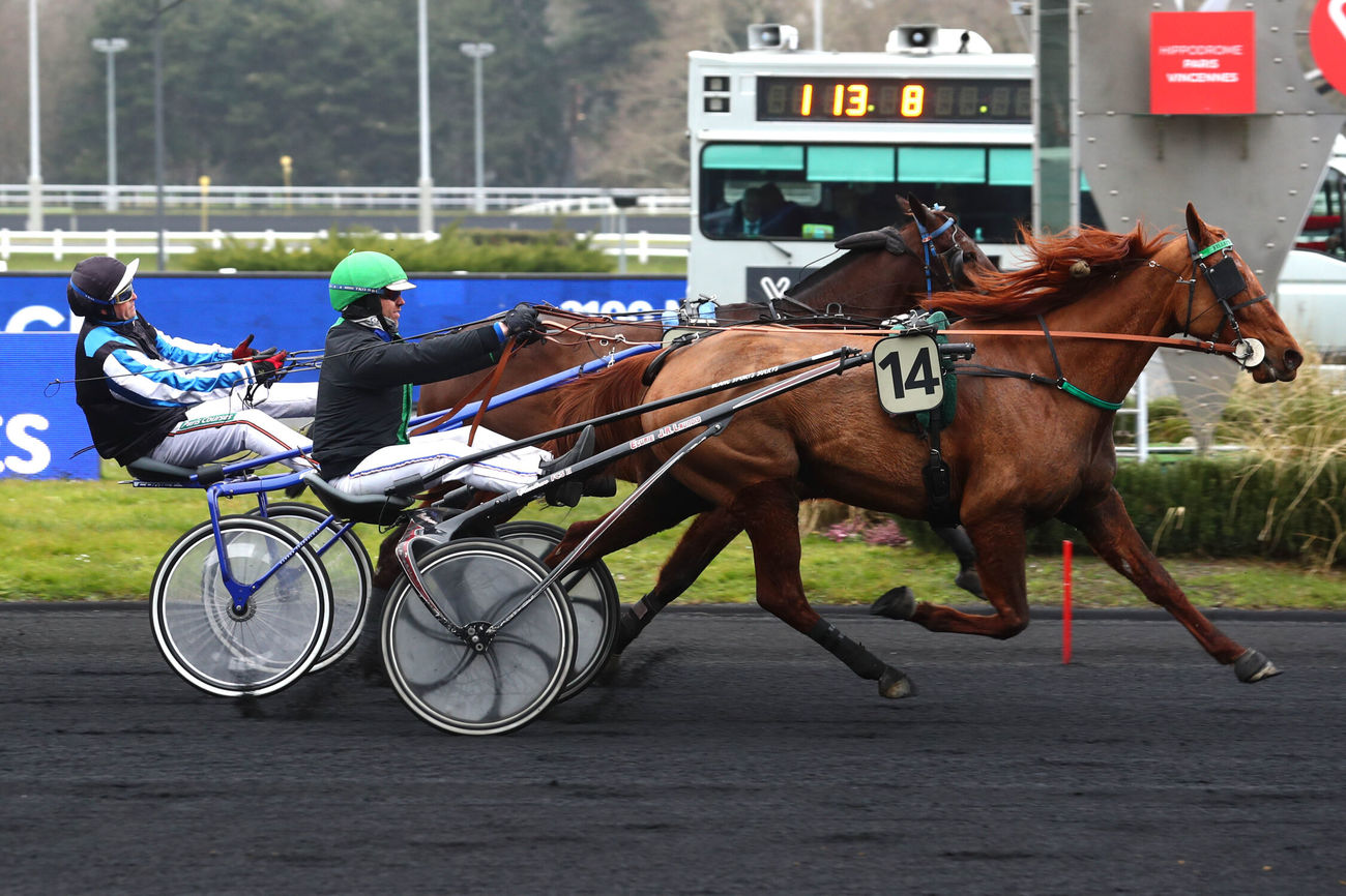 image Prix de Bourgogne – Amérique Races Q5 : Jushua Tree marque son territoire et file vers le Prix d'Amérique