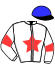casaque THESIGER (IRE)