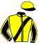 casaque BLUE OCEAN DREAM (GER)