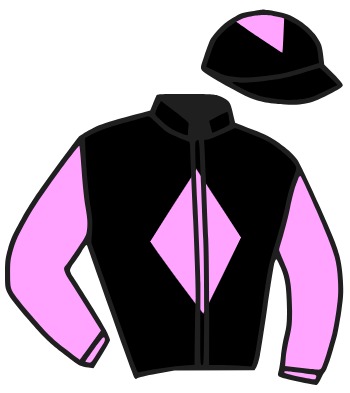 casaque SQUARE D'ALBONI