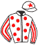 casaque logo