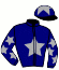 casaque BLUE SWAN