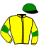 casaque CHASING GREAT