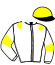 casaque logo