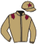 casaque DEPUTY RULER (IRE)