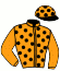 casaque ONE EDITION (IRE)