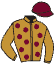 casaque logo