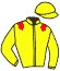 casaque FLAMINGWAY