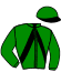 casaque logo