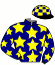 casaque CALYPSO (IRE)
