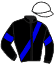 casaque logo