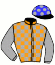 casaque POWER OF VITAM (NZ)
