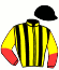 casaque logo