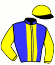 casaque ADVANTAGE (IRE)