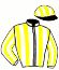 casaque EUROPEAN WINNER