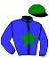 casaque VANISHING WISH (USA)
