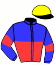 casaque IMPERIAL JOY (ARG)