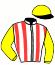 casaque logo