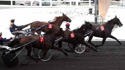 image Photo de la semaine : Ready Cash en promenade