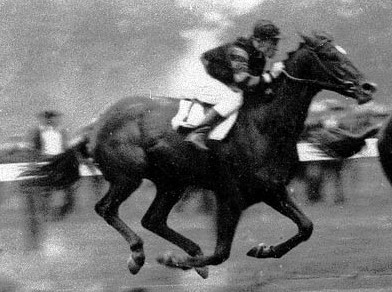 image Le record de 1920 de Man Oâ€™War tient toujours !