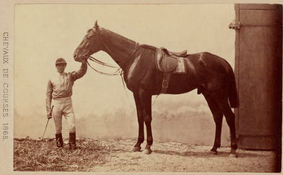 image Et si Gladiateur Ã©tait le meilleur cheval franÃ§ais de lâ€™histoire des courses ?