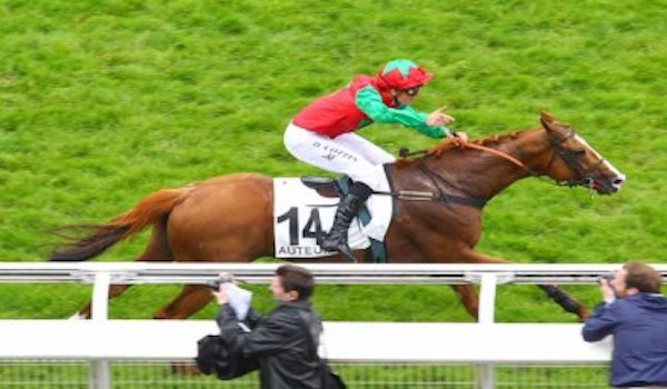 image La Grande course de haies dâ€™Auteuil, Ã  ne surtout pas sauter !