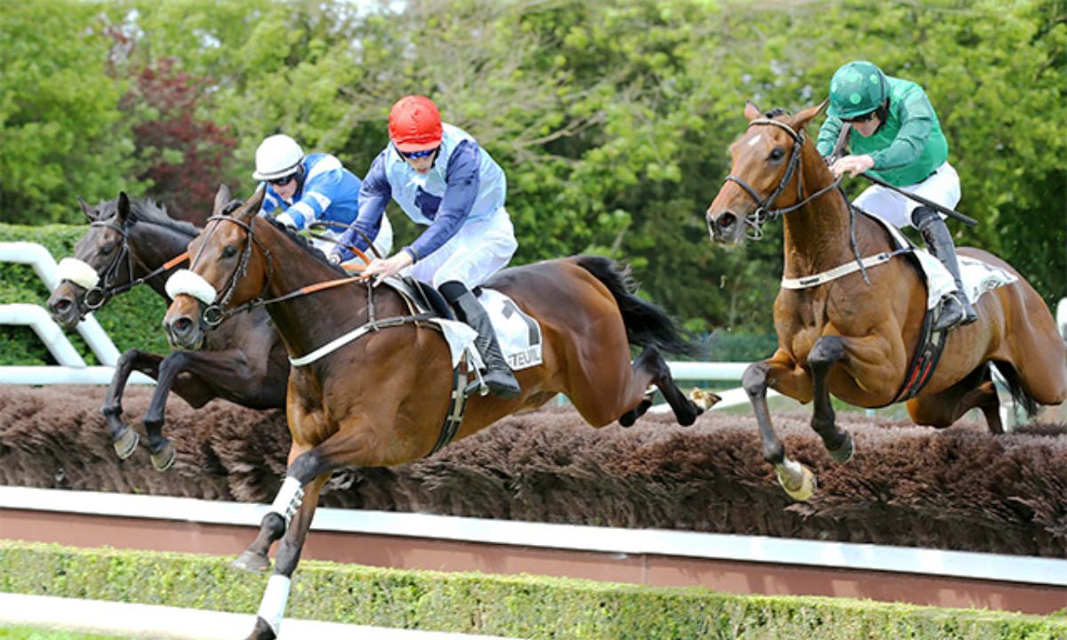 Pronostic et partants - Prix WORLD SPORTS BETTING MR 77 HANDICAP - 11/05/2022 - SAF-KENILWORTH R10 C8