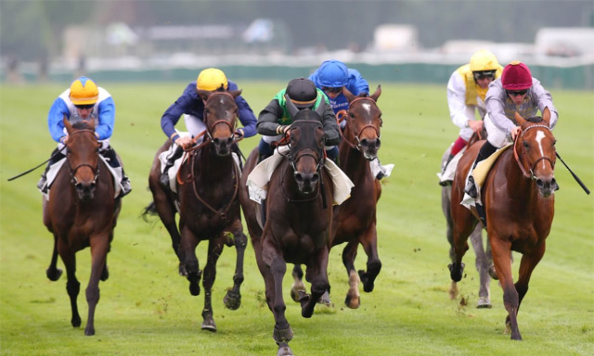 Pronostic et partants - PRIX Race 2 - 30/04/2021 - USA-GOLDEN GATE R15 C2