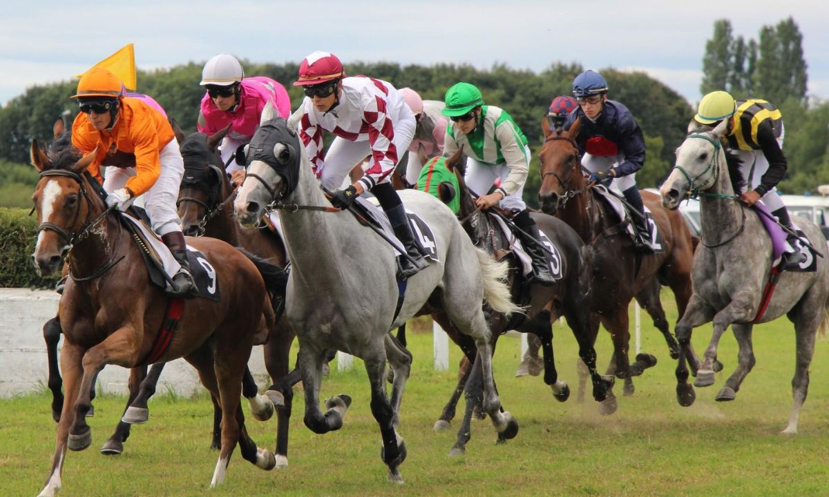 Pronostic et partants - PRIX GOLDEN ROMAN - 19/03/2025 - ARG-PALERMO R7 C8