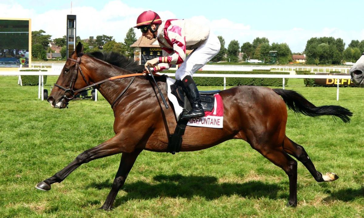 Pronostic et partants - PRIX GROUPE AUTOMOBILE DS STORE MONTROND LES BAINS(PRIX FRAN - 22/04/2022 - SAINT GALMIER R6 C3