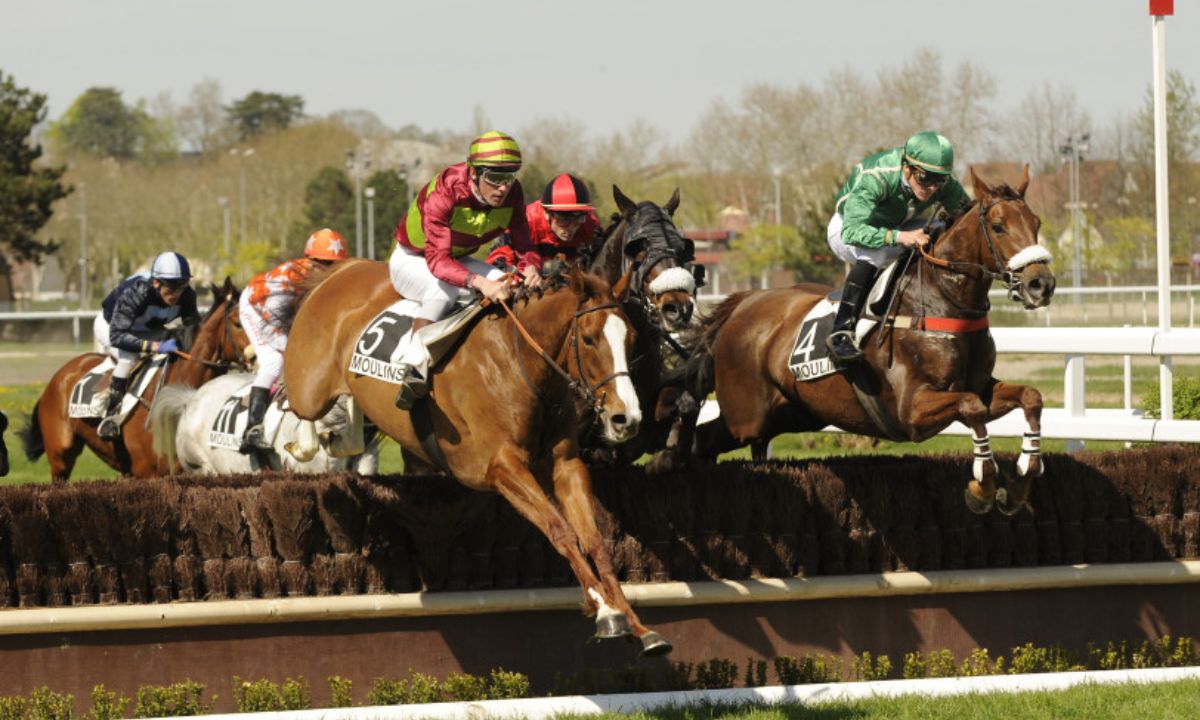 Pronostic et partants - Prix WWW.IEEC.COM.AU BENCHMARK 65 Handicap - 18/01/2023 - AUS-IPSWICH R8 C6