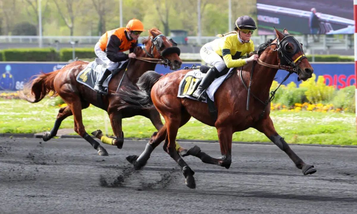 Pronostic et partants - PRIX ROBERT PICARDAT - 19/06/2021 - MARSEILLE VIVAUX R8 C1