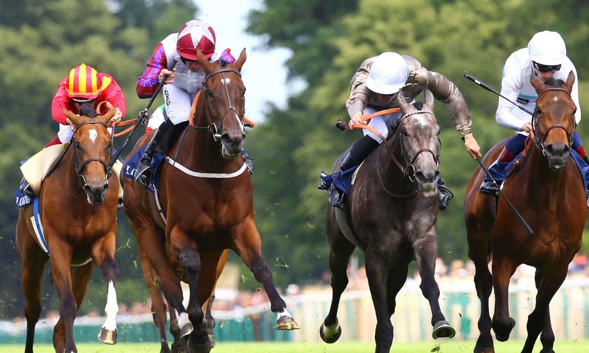 Pronostic et partants - Prix MOUNT FRANKLIN QTIS Three-Year-Old Maiden Handicap - 04/01/2023 - AUS-EAGLE FARM R7 C2