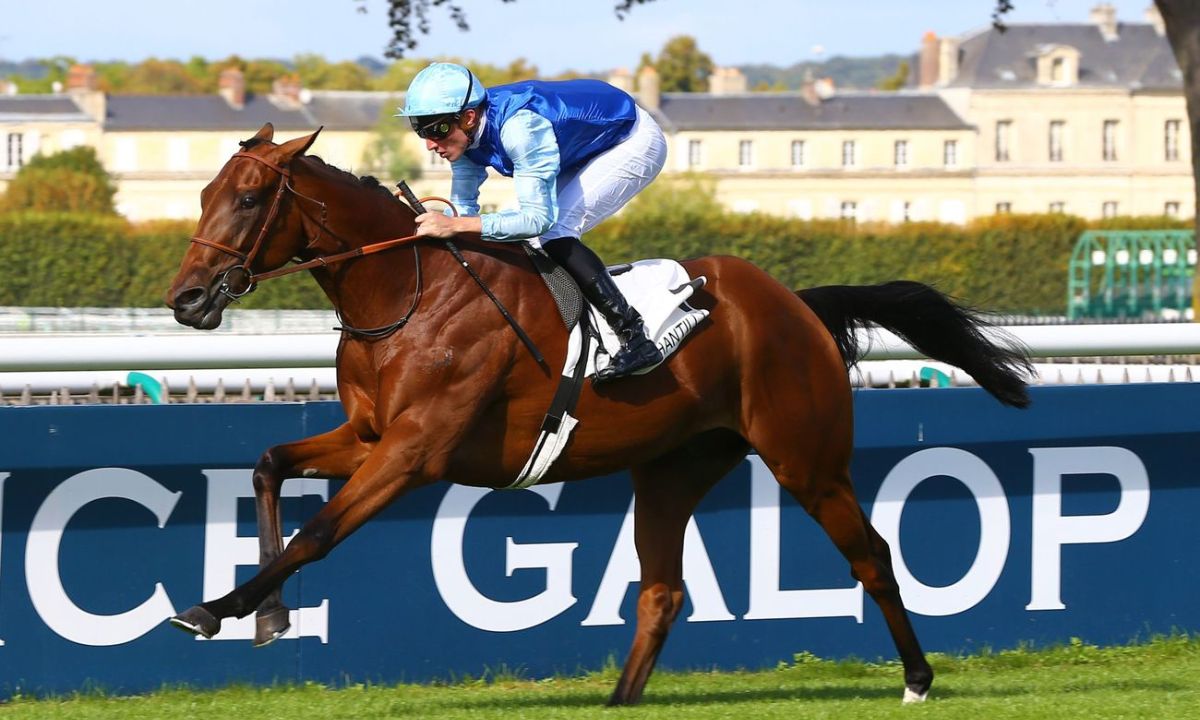 Pronostic et partants - Prix NOLANS TRANSPORT GATTON RATINGS BAND 0 - 58 Handicap - 29/09/2022 - AUS-GATTON R8 C10