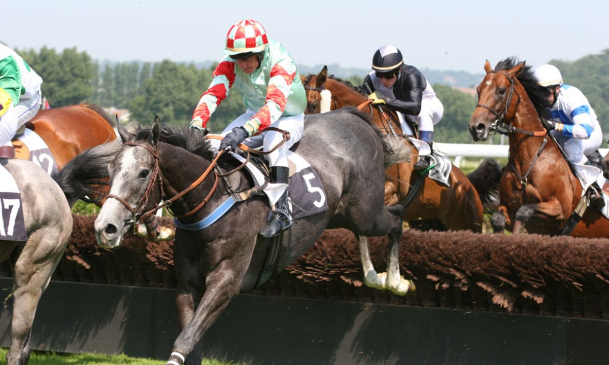 Pronostic et partants - PRIX ABSI-EQUITOP (PRIX DE LA CHANOISSE) - 06/07/2022 - SENONNES R2 C2