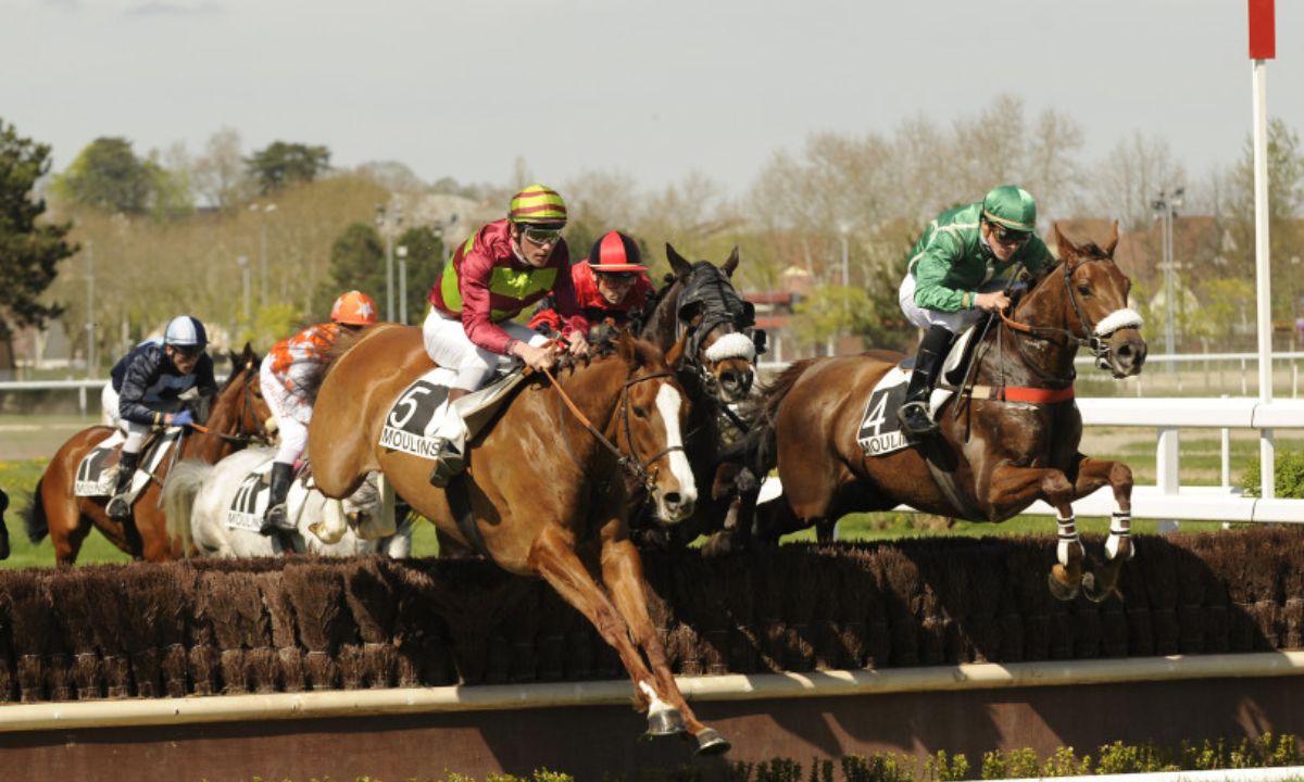 Pronostic et partants - Donohue Marquees Cross Country Chase - 04/05/2024 - IRE-PUNCHESTOWN R8 C1