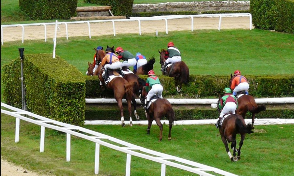 Pronostic et partants - PRIX AU FRISSON NORMAND (PRIX DE RANVILLE) - 29/07/2021 - CLAIREFONTAINE R1 C4