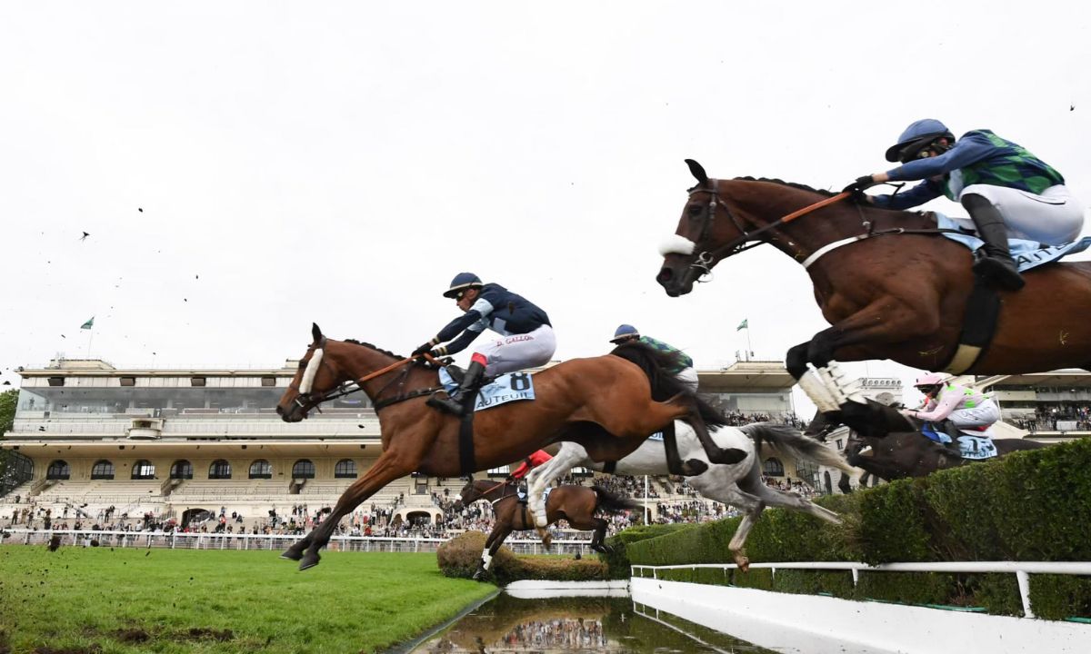 Pronostic et partants - Ballymore Novices' Hurdle (Grade 2) (Registered As The Hyde  - 11/11/2022 - GB-CHELTENHAM R7 C5