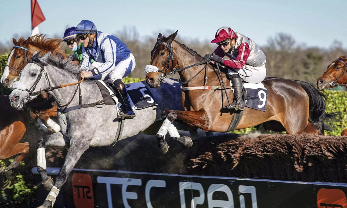 Pronostic et partants - Book A Table For New Years Day Mares Handicap Hurdle (80-109 - 06/12/2022 - IRE-TRAMORE R8 C3