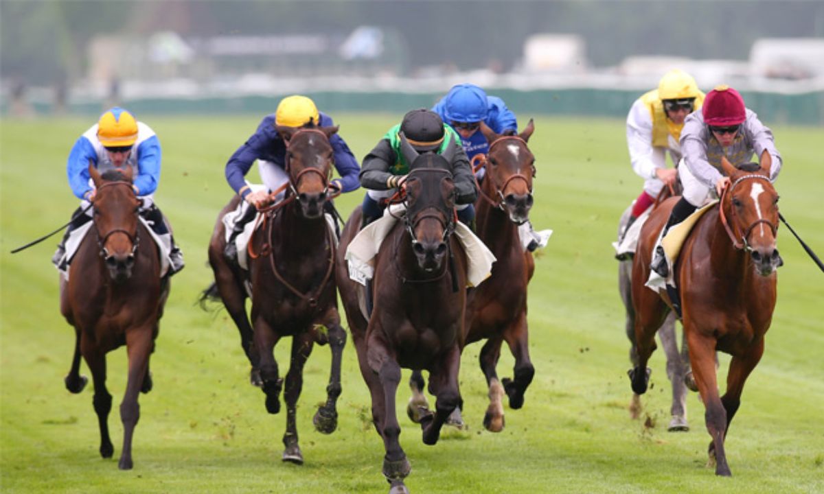 Mature Women Archives NewsyList