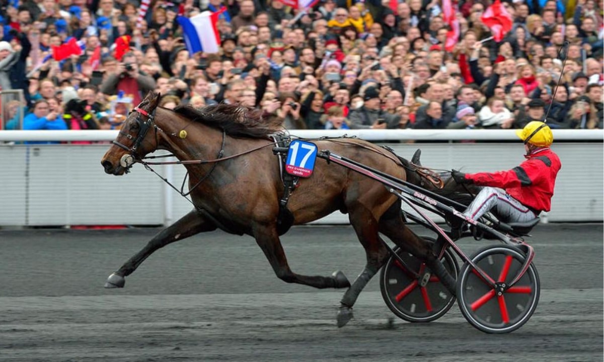 Pronostic et partants - PRIX DE L'ECURIE BRIDAULT - 04/05/2021 - CHARTRES R3 C6