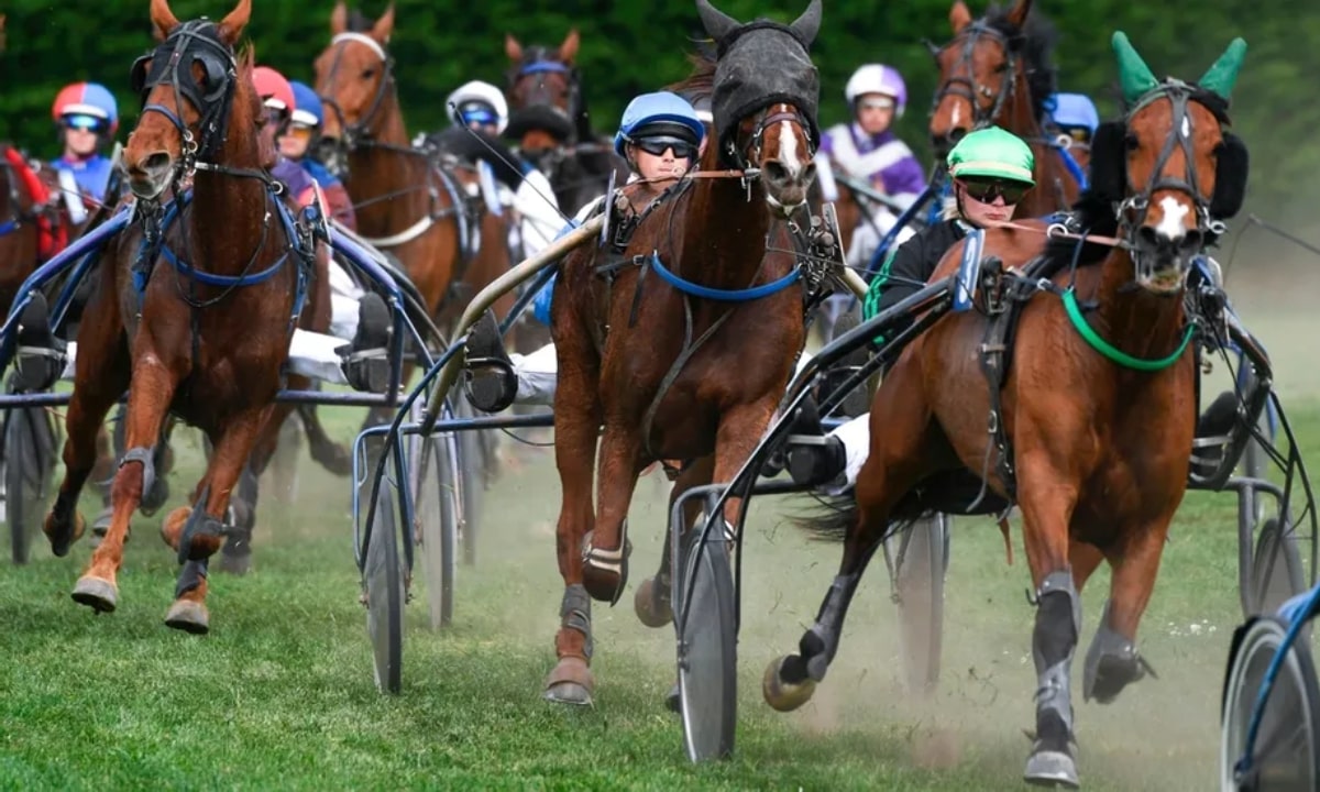 Pronostic et partants - PRIX DES PISTES EN HERBE (GR B) - 05/09/2021 - DIEPPE R8 C4