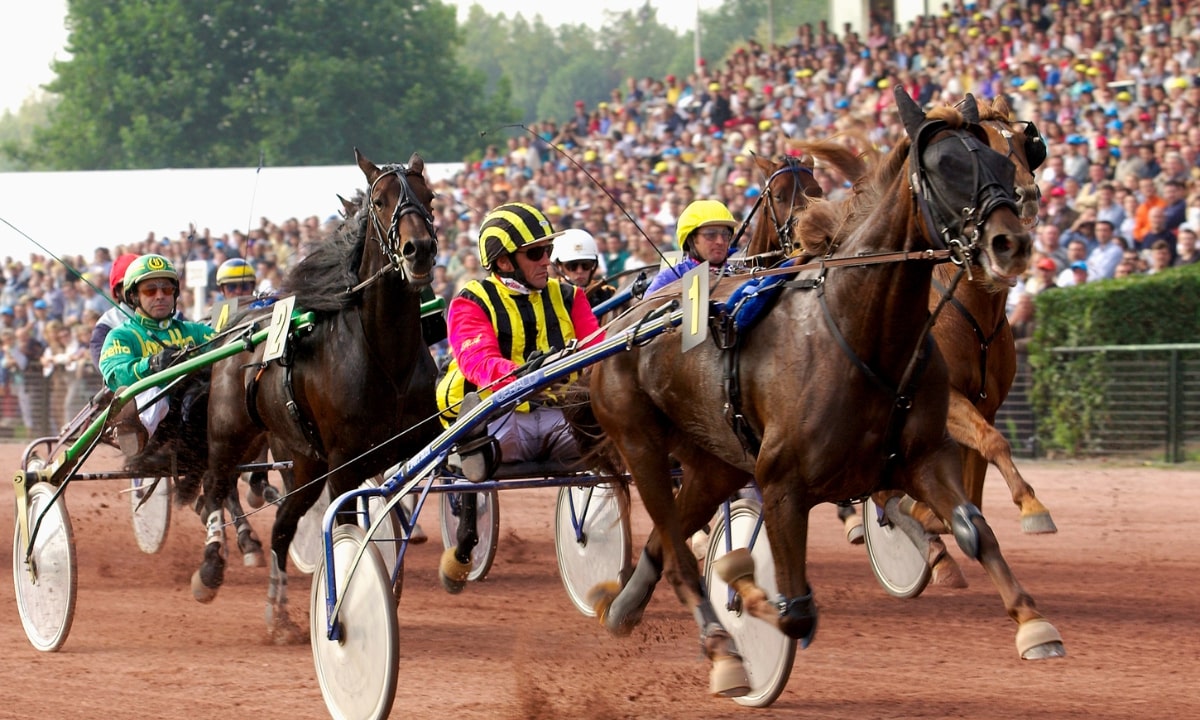 Pronostic et partants - PRIX Spartrappa - 08/05/2022 - SWE-VAGGERYD R14 C9