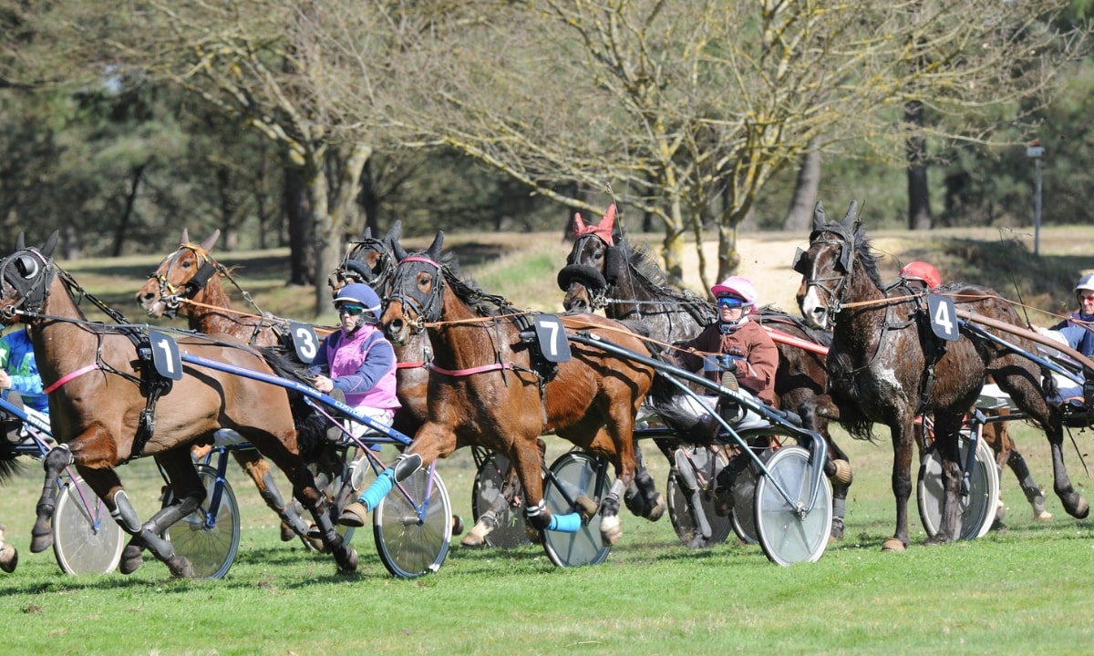 Pronostic et partants - PRIX NDR.NL - 14/10/2022 - HOL-WOLVEGA R2 C5