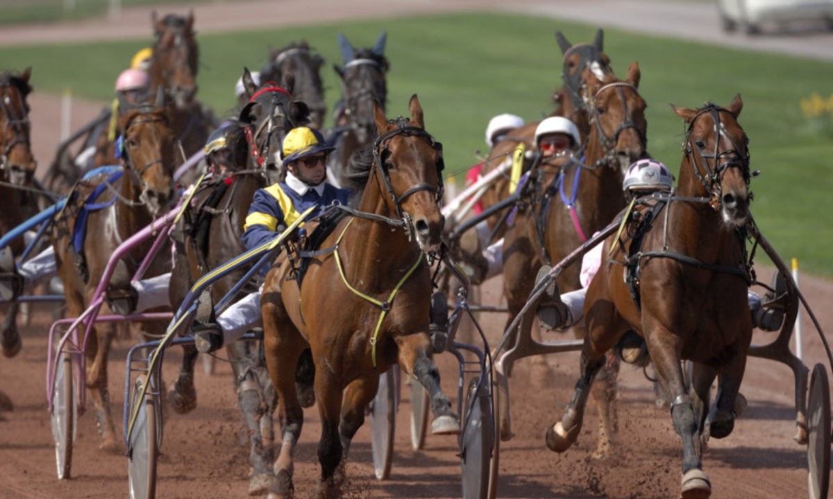 Pronostic et partants - PRIX Anders Kilstroms Minne final - Spartrappa - Fyraaringsl - 22/10/2021 - SWE-BOLLNAS R12 C7