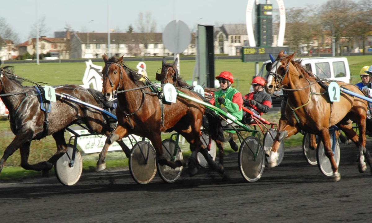 Pronostic et partants - PRIX Course 5 - 22/02/2022 - SWE-GAVLE R8 C5