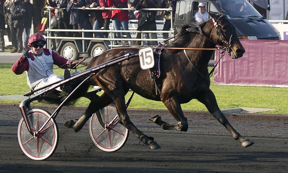 Pronostic et partants - PRIX E3 Bonus - Agria Djurforsakring - Trearingslopp - 04/08/2022 - SWE-GAVLE R12 C1